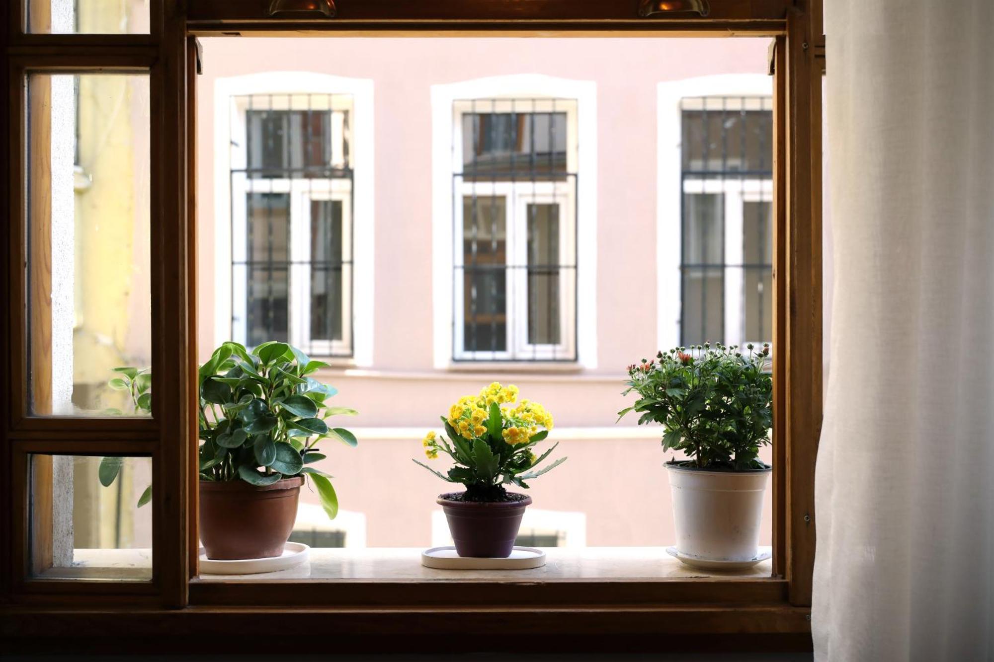 Narpera Taksim Boutique Hotel Estambul Exterior foto